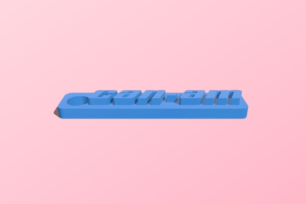 CanAm logo | 3d print model