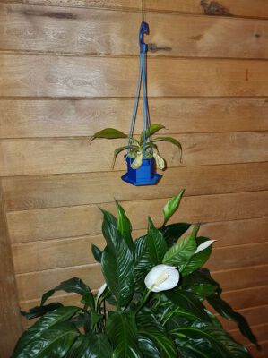 Hanging Plant Pot 100 3d Printed | 3d print model
