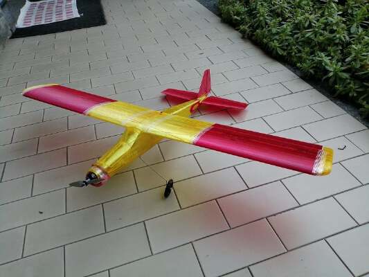 Muffin full 3D printed RC airplane | 3d print model
