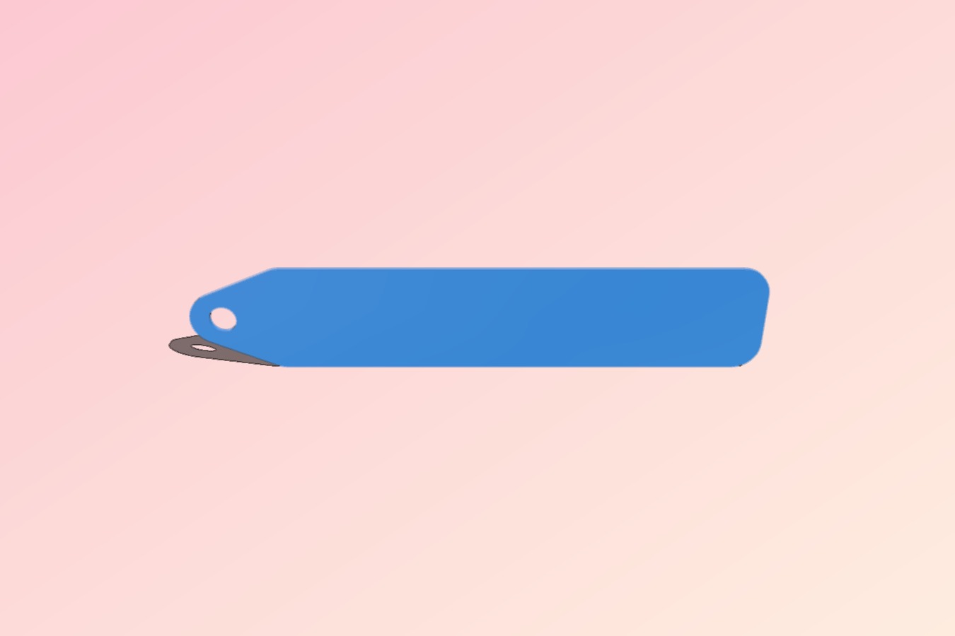 Remove before flight tag