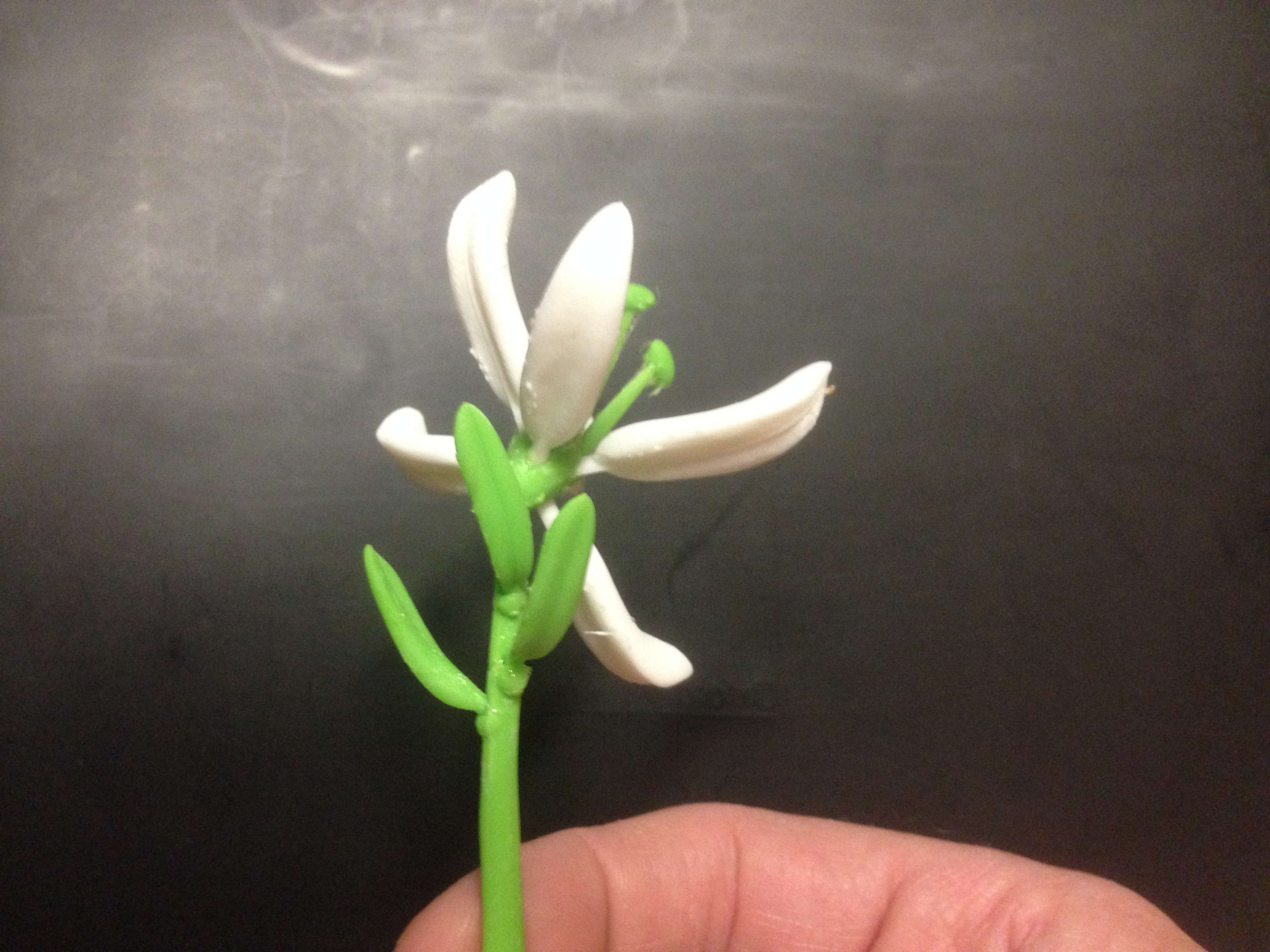 Stargazer Lily (Sort of)