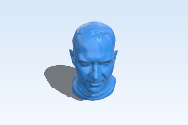 Cory Doctorow's decimated head for 3D printing - 45000 triangles | 3d print model