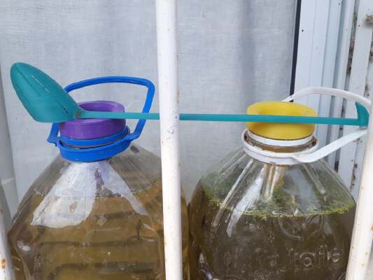 Algae culture 5L bottle set | 3d print model