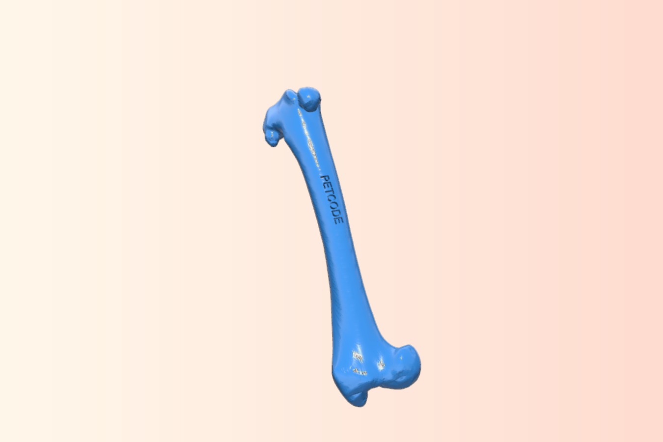 Dog Femur