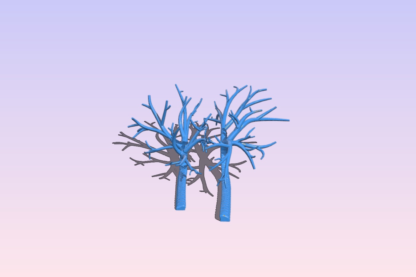 Lung Halves