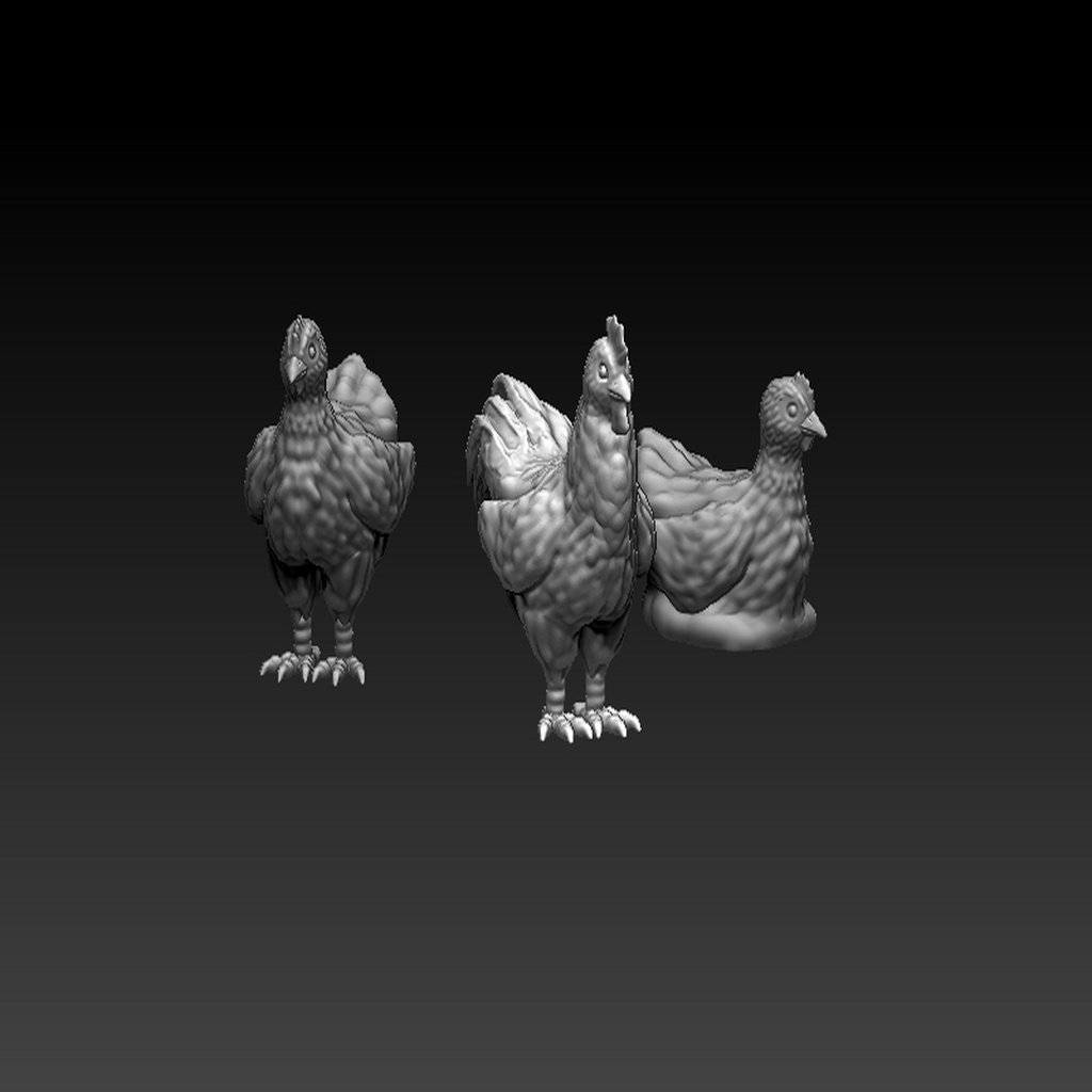 Chickens