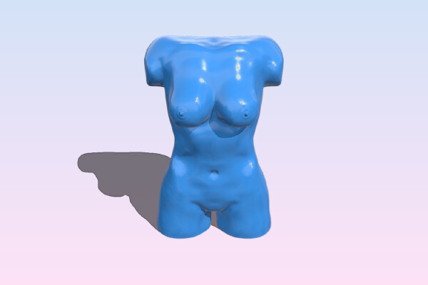 Female Torso | 3d print model