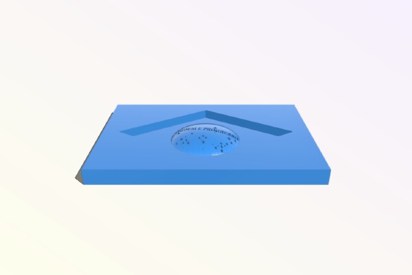 Brazilian Flag (Bandeira Brasil) | 3d print model