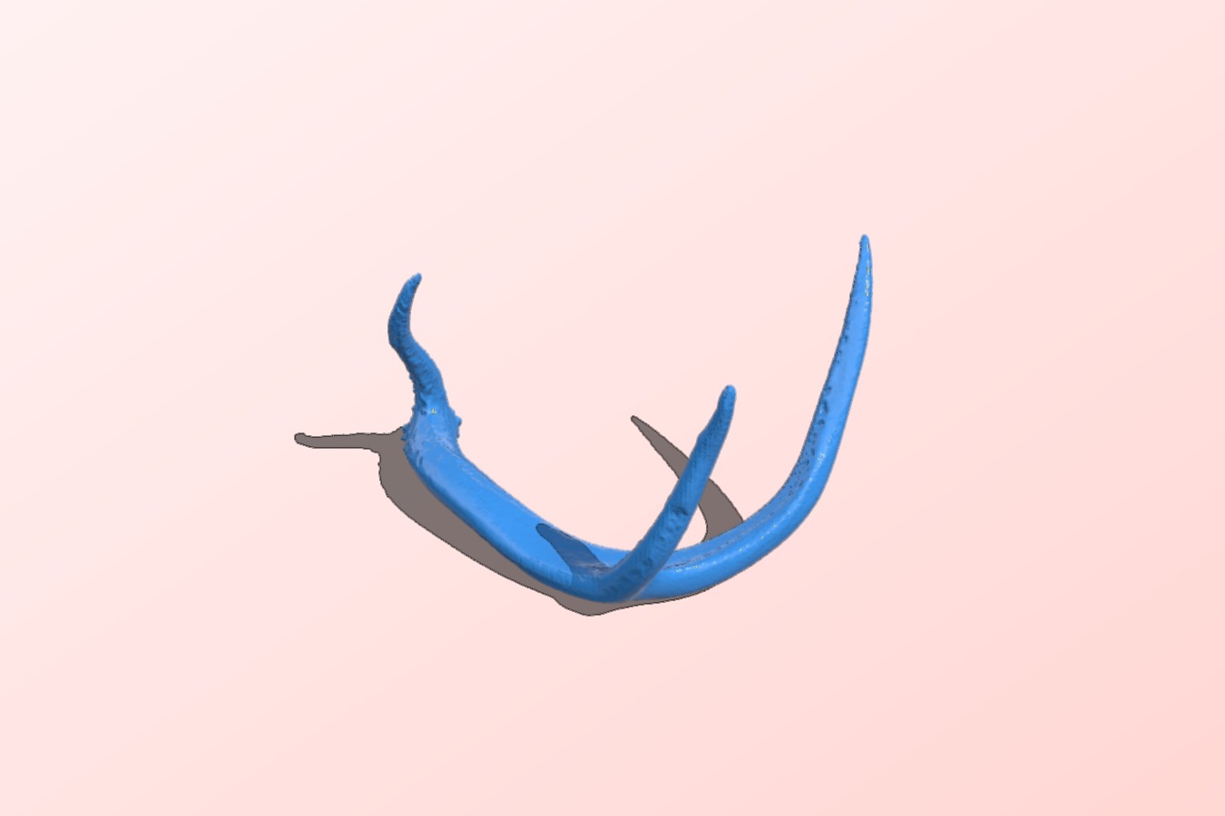 Antler Part Deux