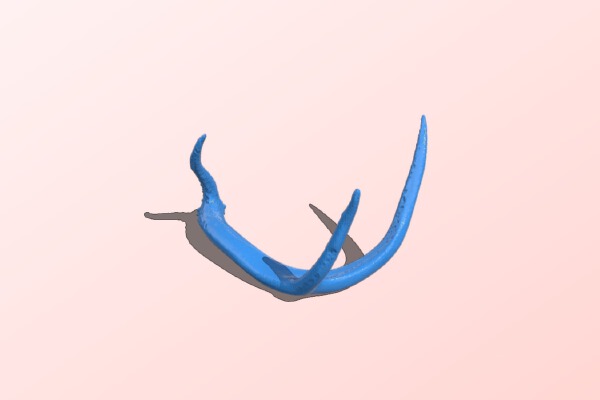 Antler Part Deux | 3d print model