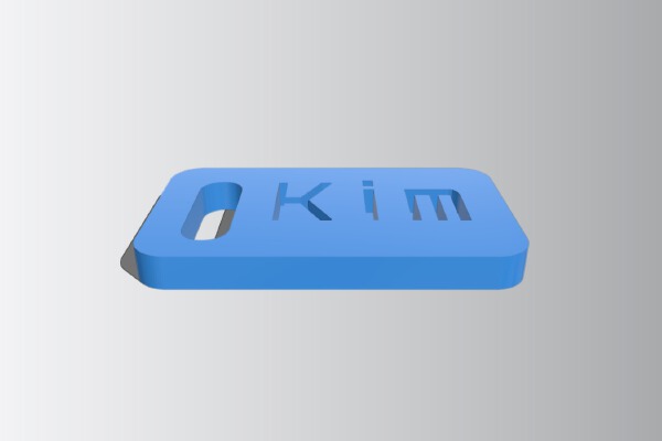 Kim | 3d print model