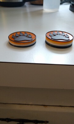 Bear Pride Flag Magnet | 3d print model