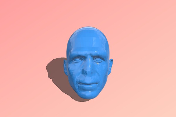 Voldemort head man | 3d print model