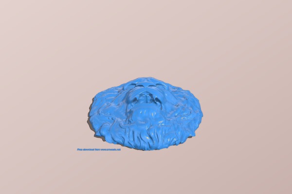 Lion head pattern | 3d print model