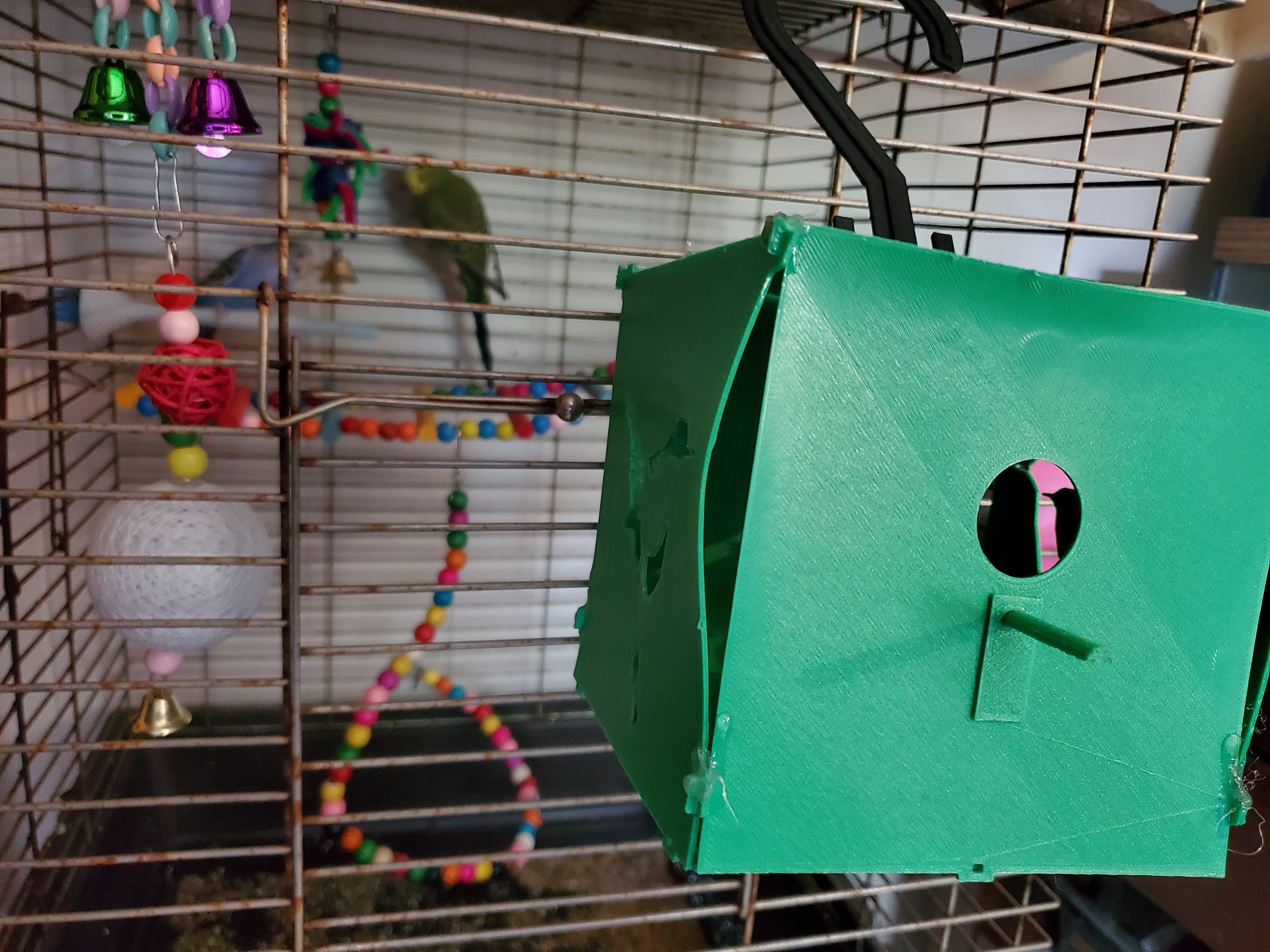 Wren type bird Birdhouse