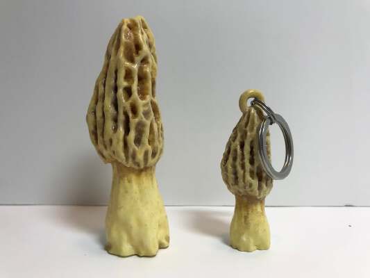 Morel model + ornament | 3d print model