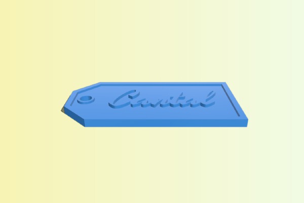 My Customized Personalized, Parametric Gift Tags Custom Remix | 3d print model