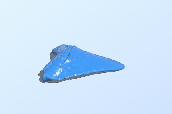 Megalodon Tooth | 3d print model