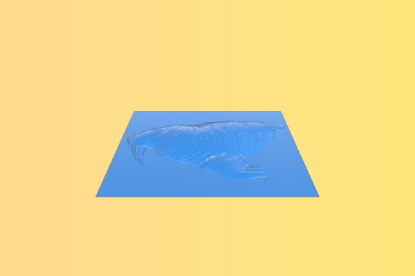 Walrus A007063 download free stl files 3d model for CNC wood | 3d print model