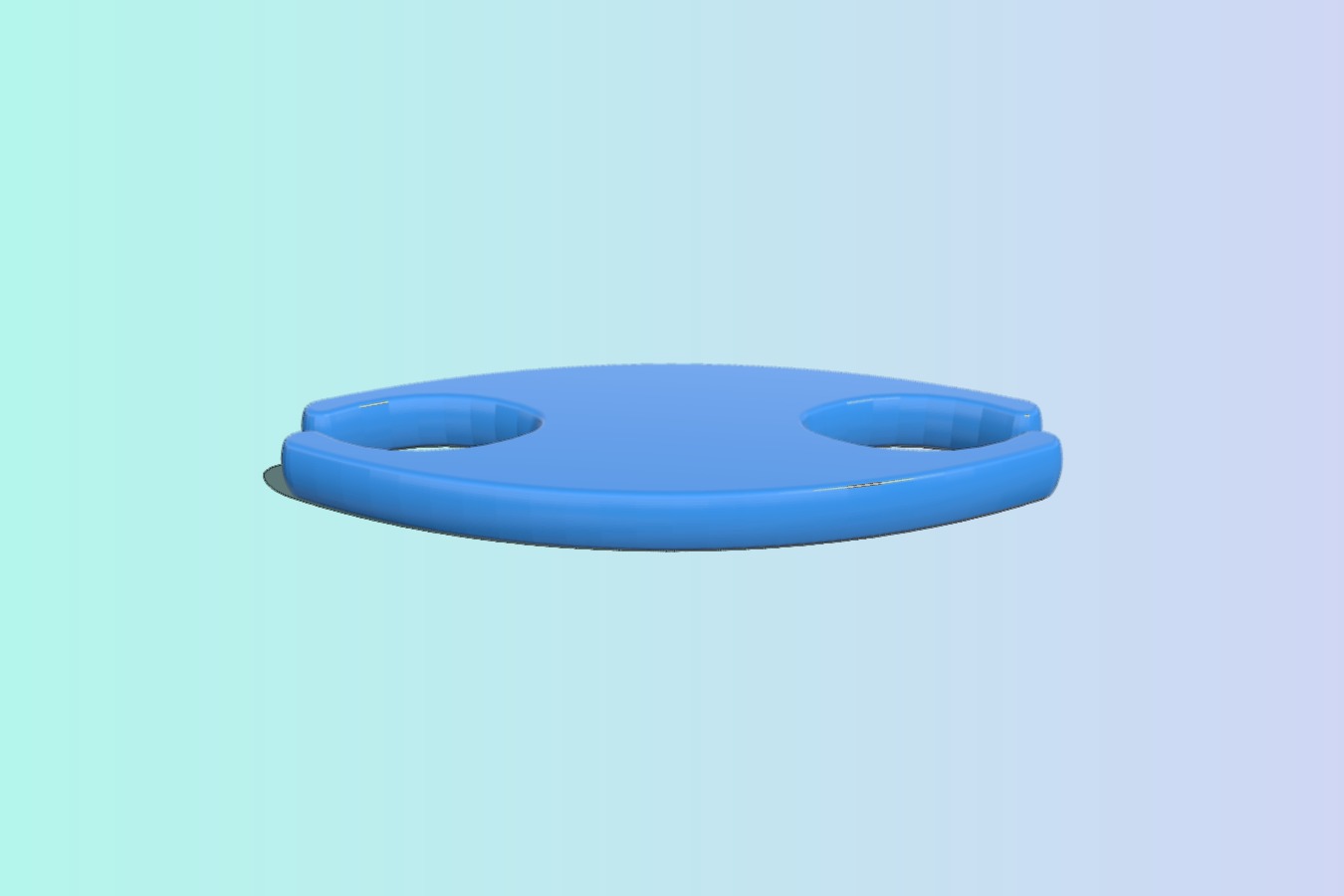 Earbud organizer