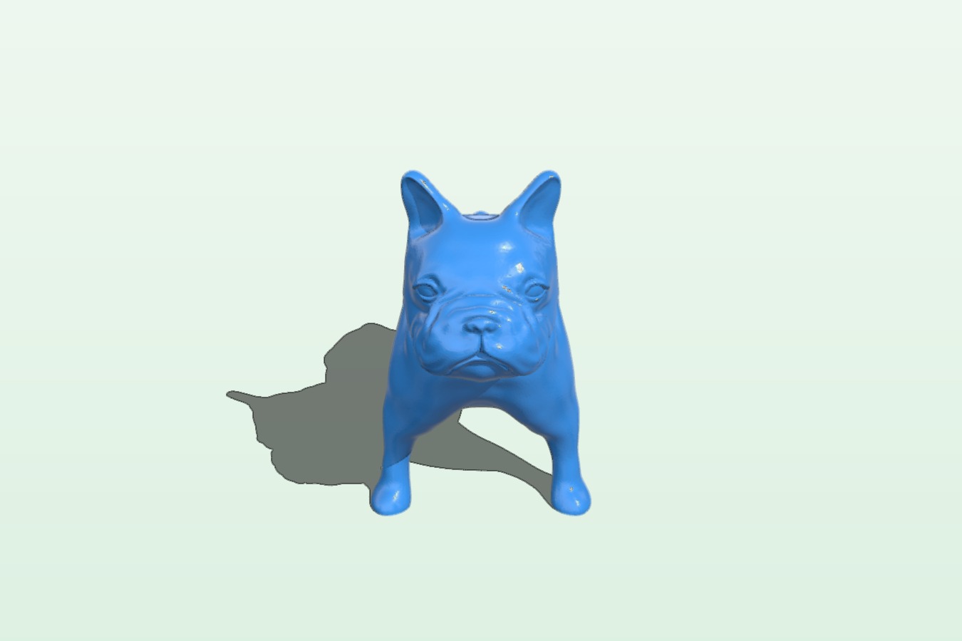 French bull dog