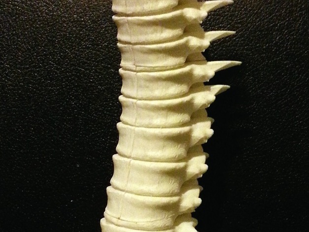 Spine candle holder