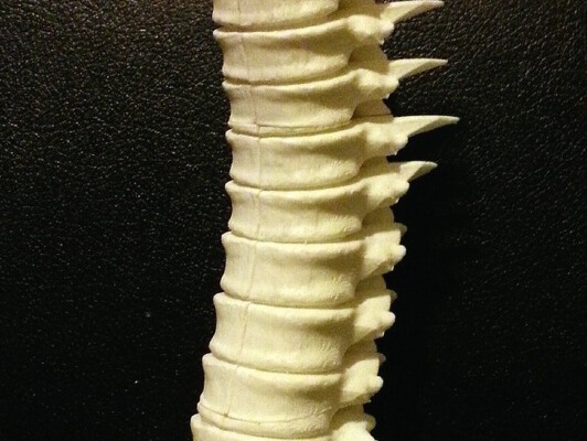 Spine candle holder | 3d print model