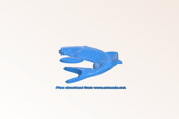 Carp – fish | 3d print model