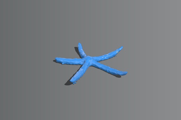 Starfish - from Sunny The Bear | 3d print model