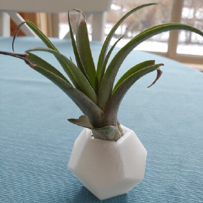 Air Plant Vases | 3d print model