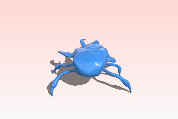 Chturkey | 3d print model