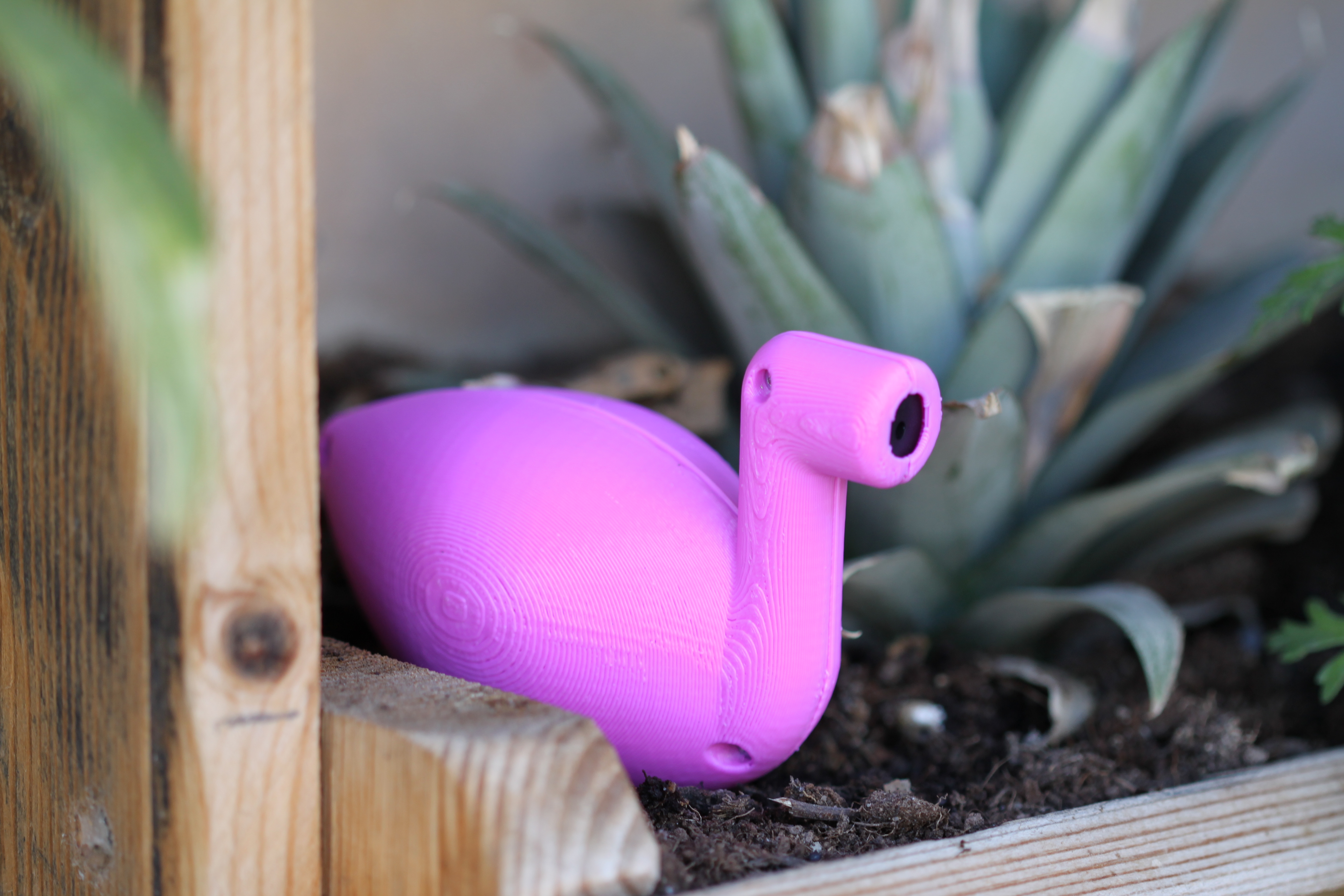Thirsty Flamingo