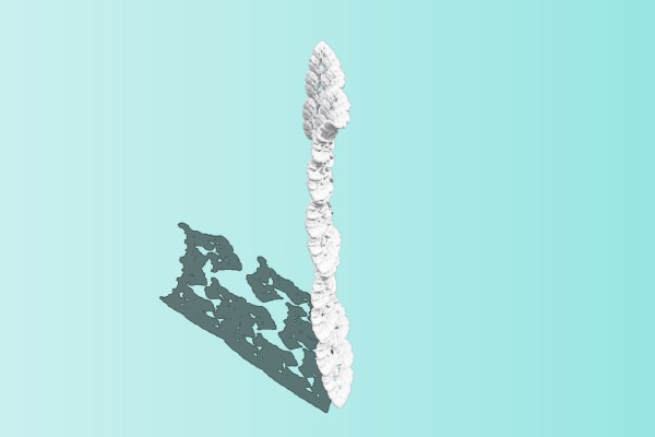 Fractal Plate | 3d print model