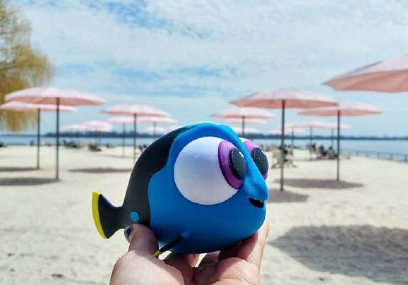 Multi-Color Baby Dory | 3d print model