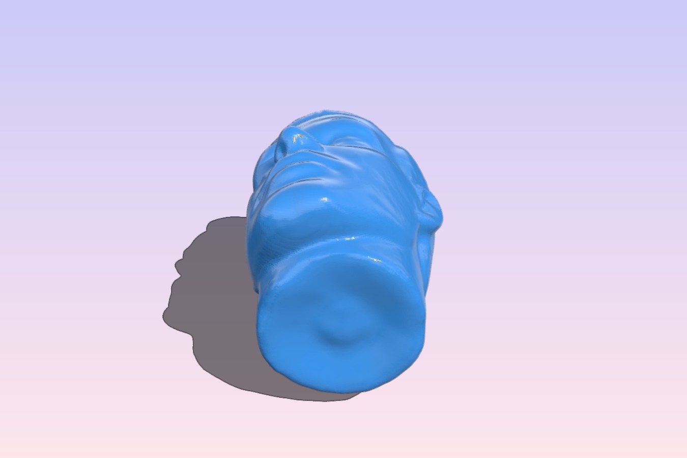 Man' Head
