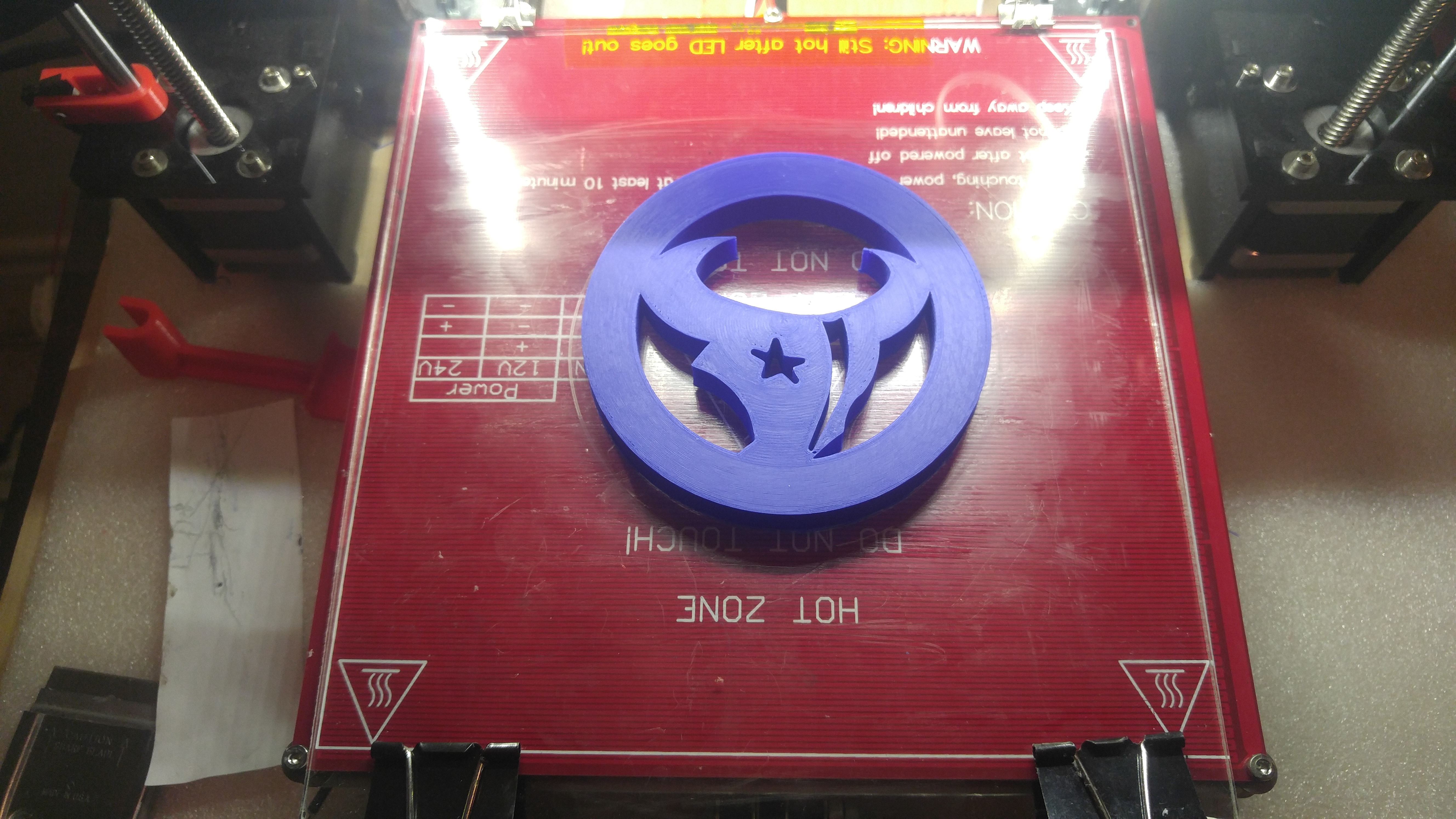 Houston Texans Bull