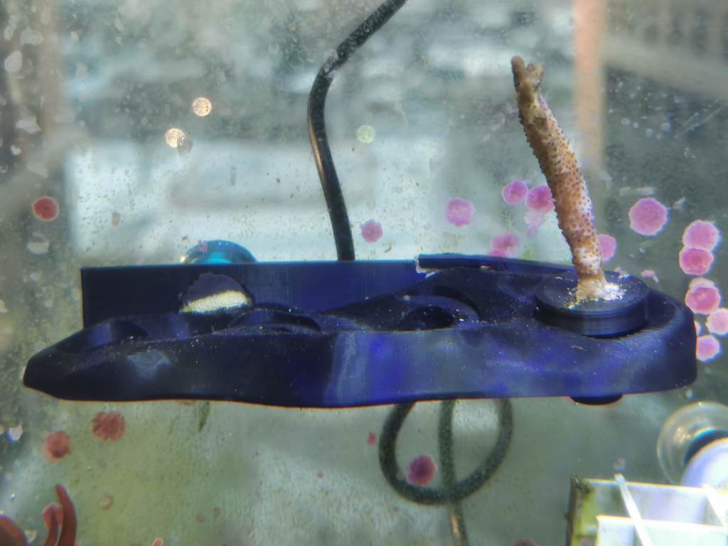 Reef Coral Magnetic Frag Rack Rock 4pcs