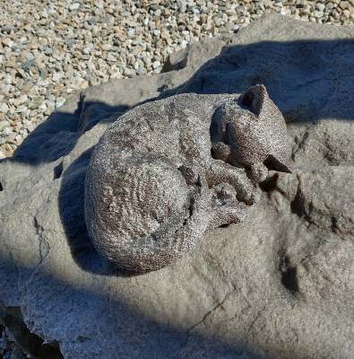 Sleeping Cat Remixed | 3d print model