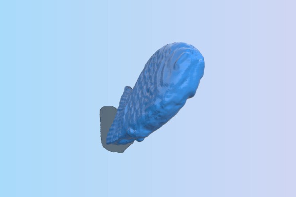The Taiyaki Cake | 3d print model