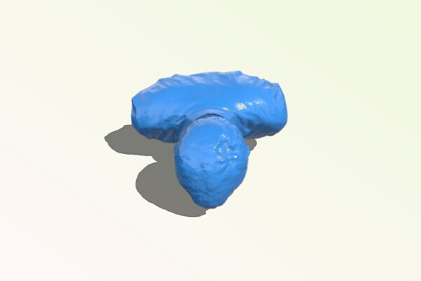 First 3D Scan with Structure - Ralph G. | 3d print model