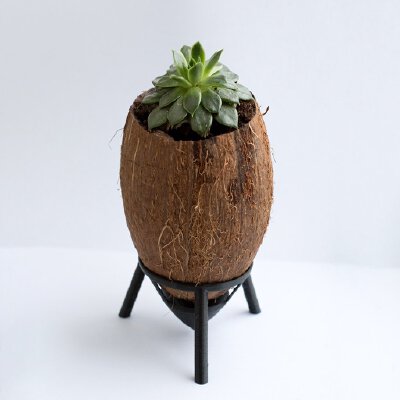 Stand for coconut flower pot | 3d print model