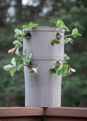 Super Self Watering Pot | 3d print model