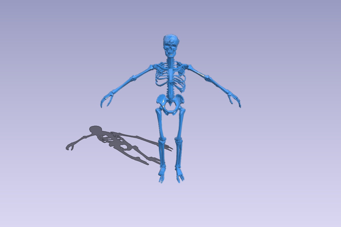 skeleton - aos - tomb kings - tm