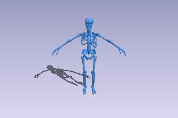 skeleton - aos - tomb kings - tm | 3d print model
