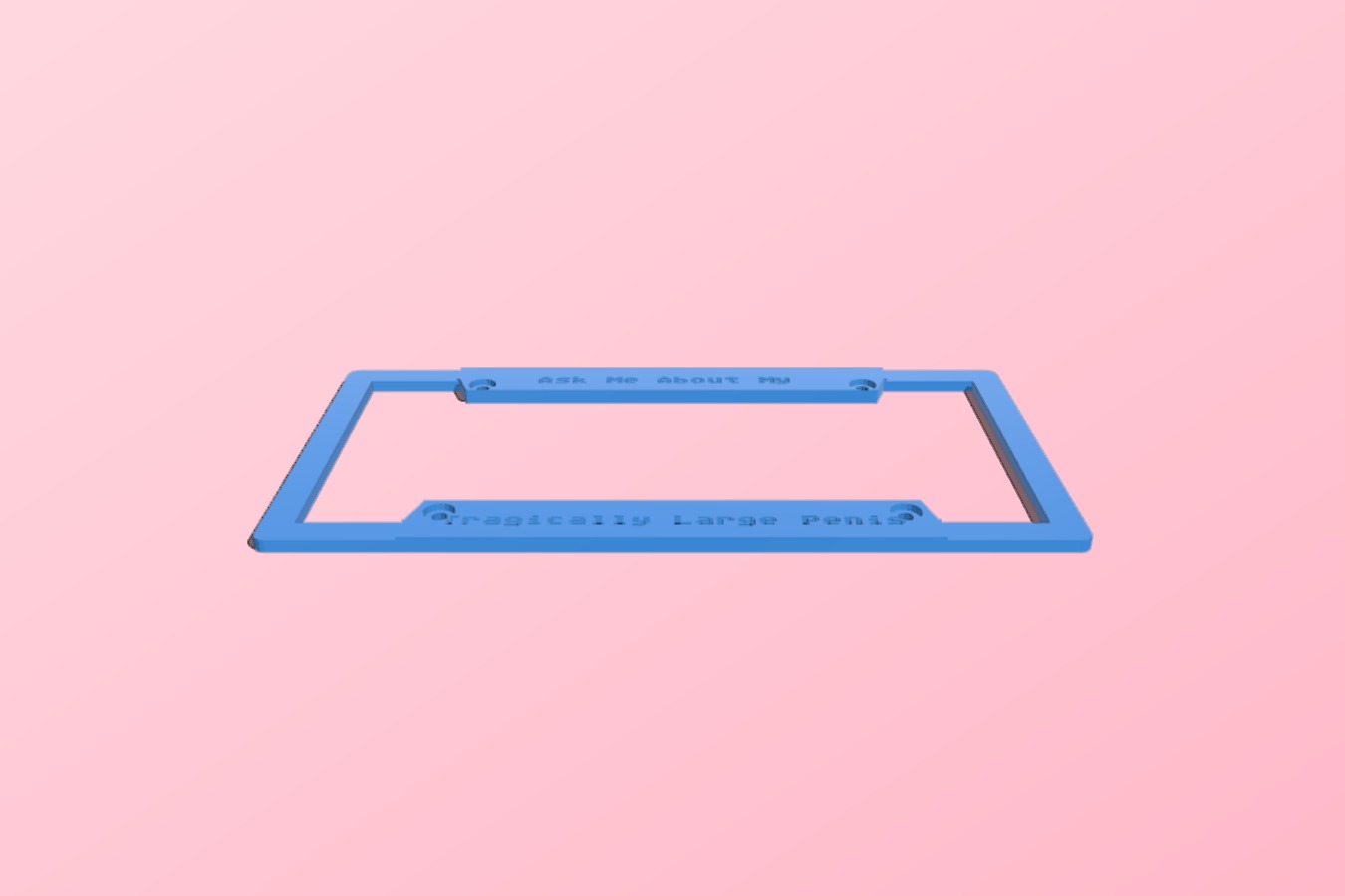 My Customized License Plate Border