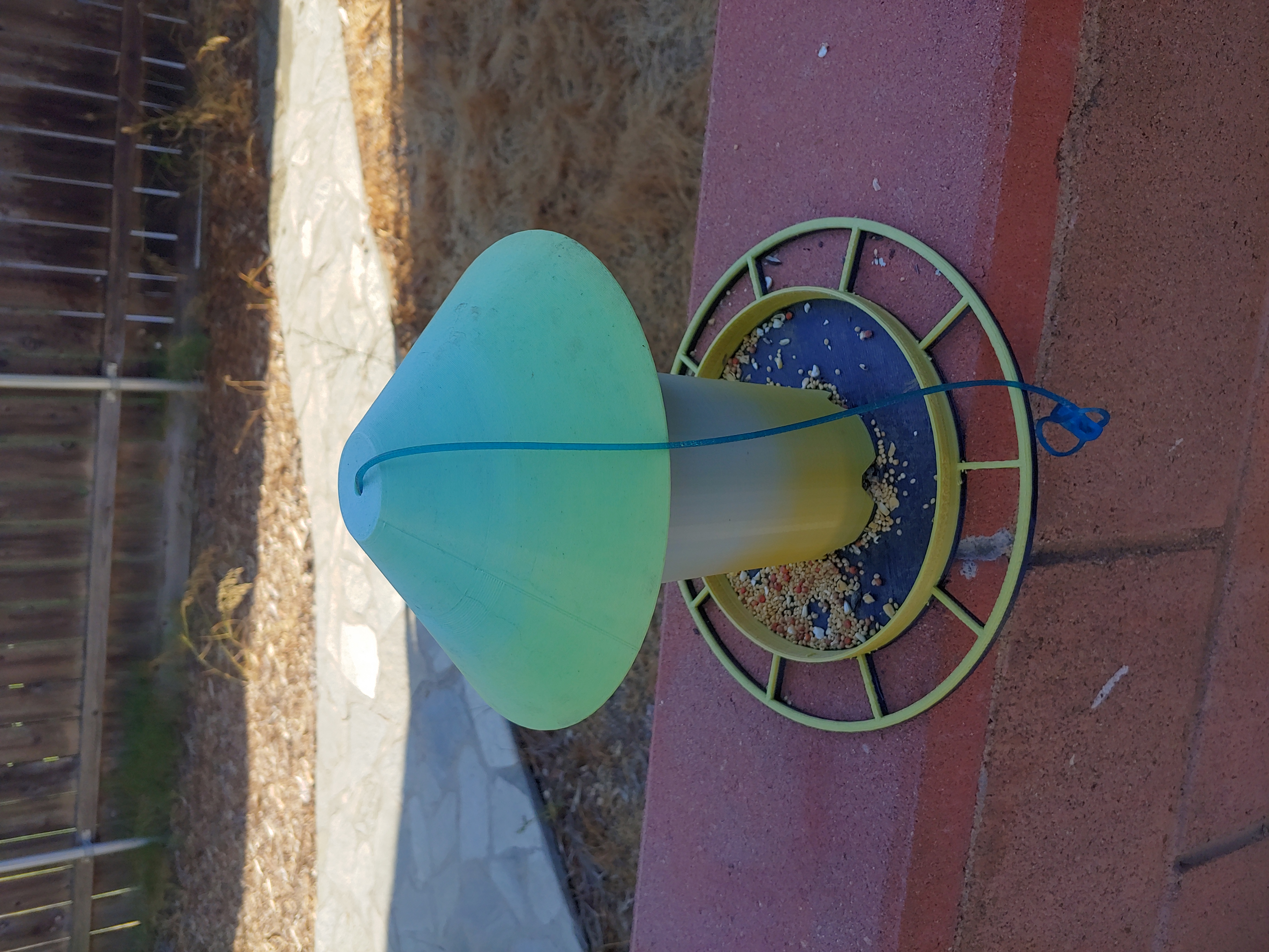Hanging Bird Feeder