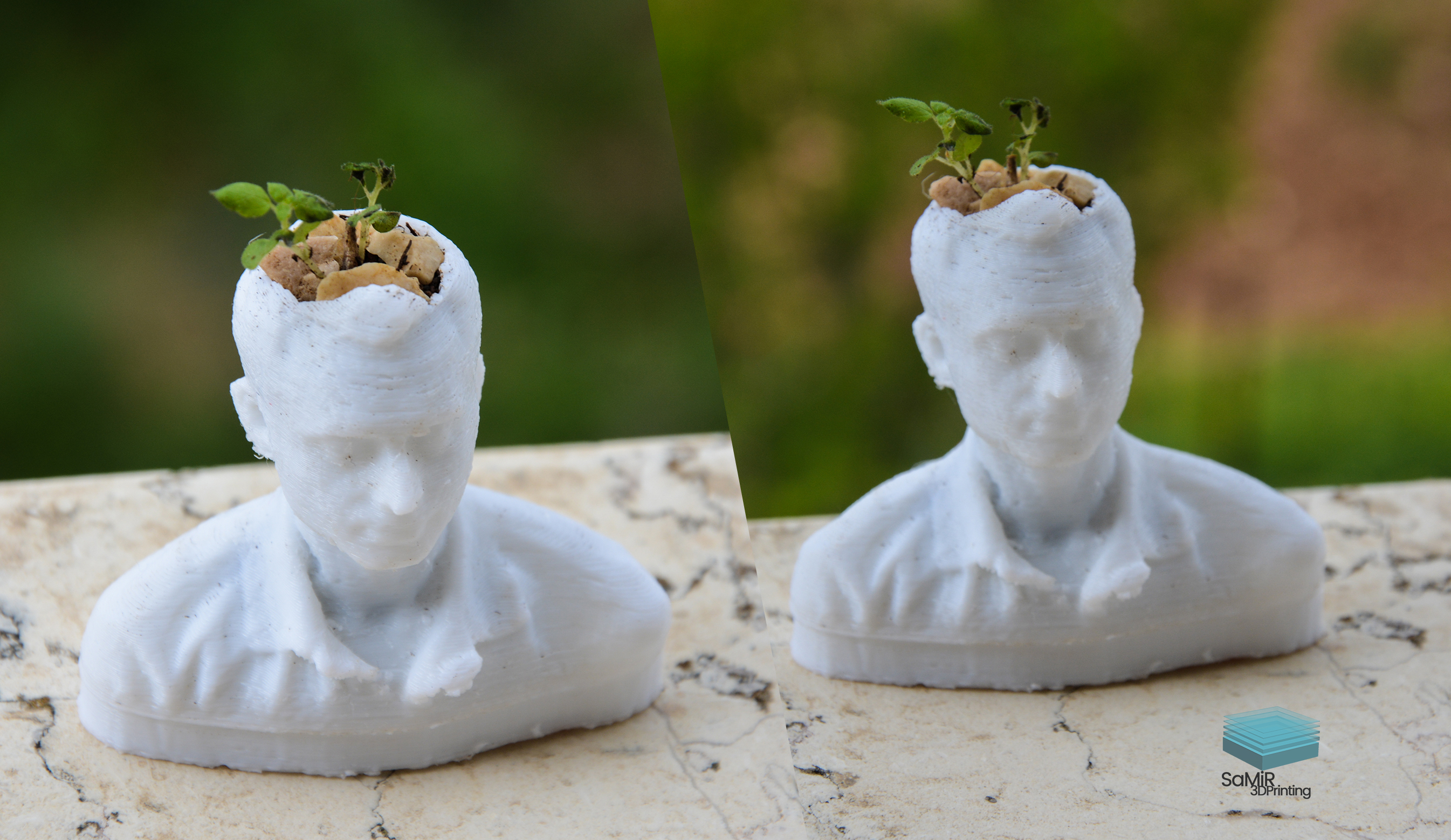 flower pot
