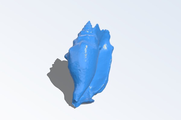 Small seashell | 3d print model