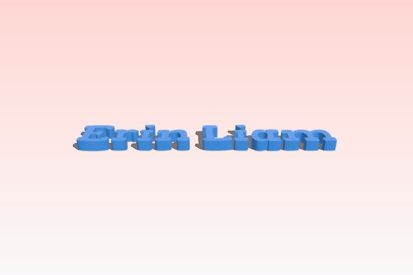 Erin Laim | 3d print model