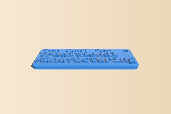 Too Cool Keychain | 3d print model